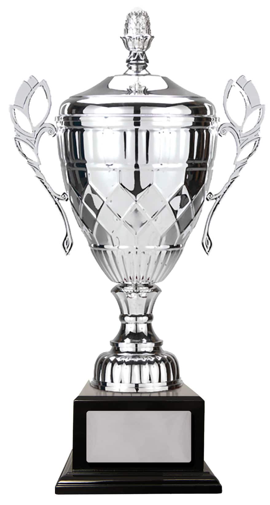 silver-whopper-cup-corporate-awards-trophies